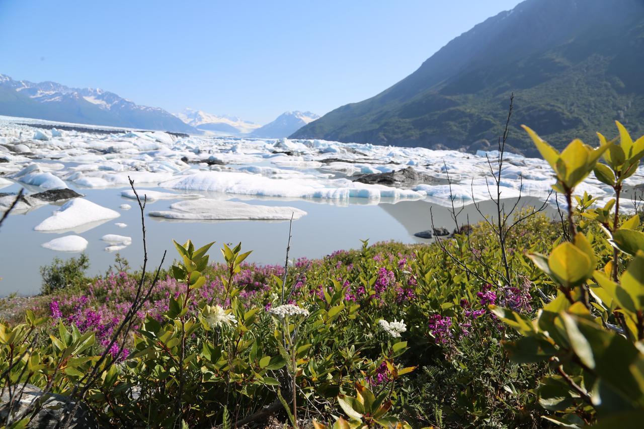 Alaska Glacier Lodge Palmer Eksteriør bilde